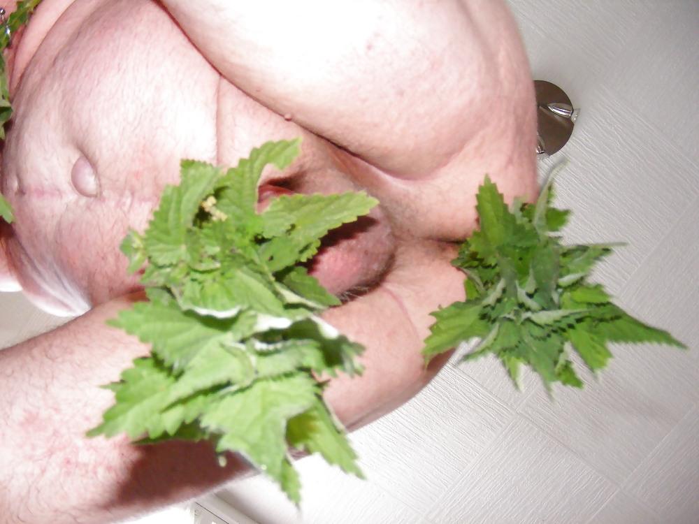 25P Orties or nettle3