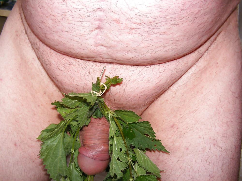 25P Orties or nettle3