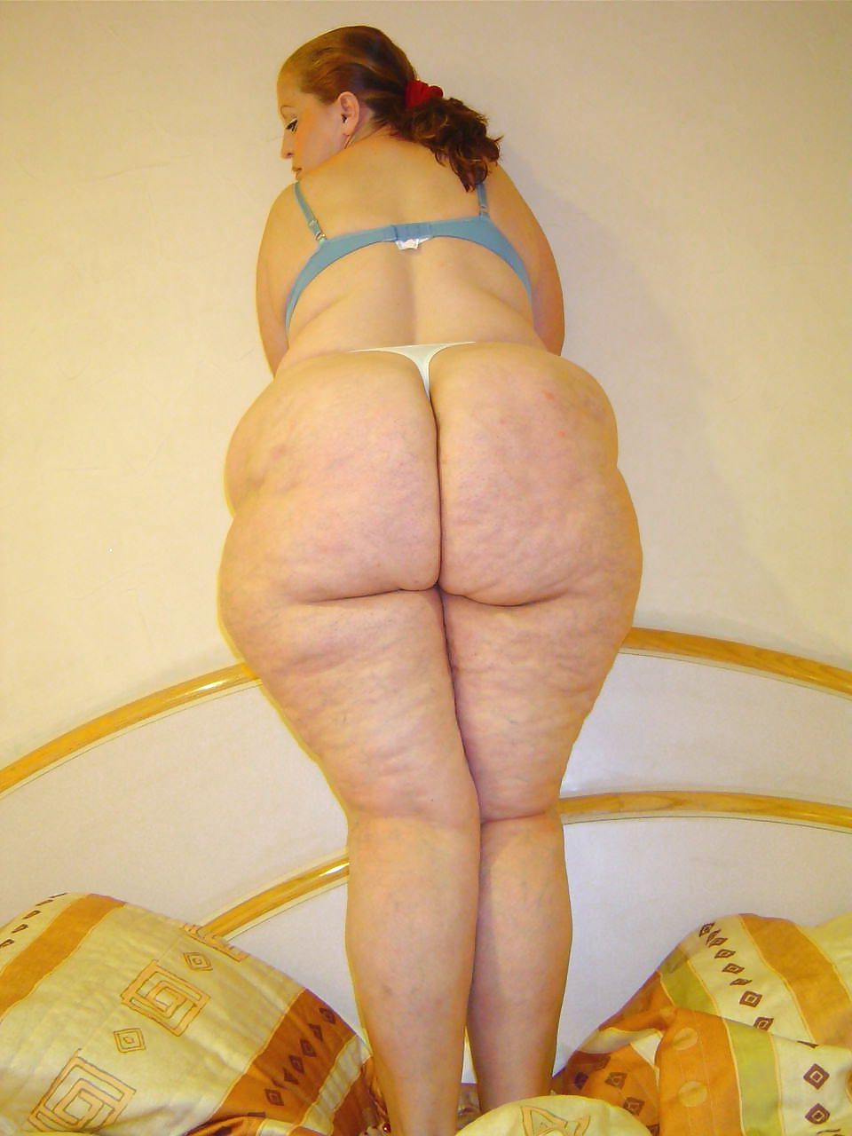 25P BBW & SSBBW Asses Collection #11