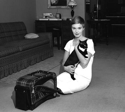 25P Jean Seberg, Sexy French Actress With Short Hair (Non-nude)