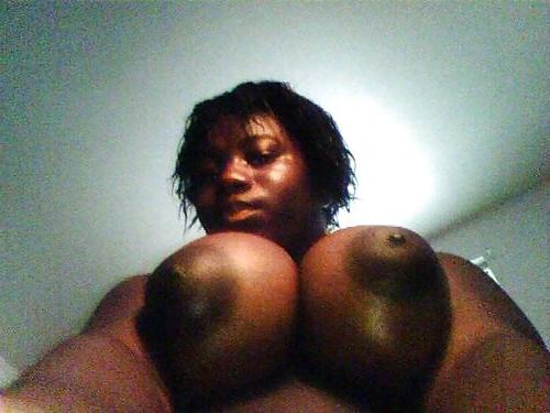 23P I love ebony bbw's 