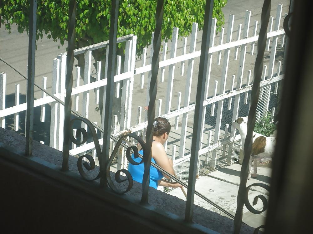 5P My neighbor 
