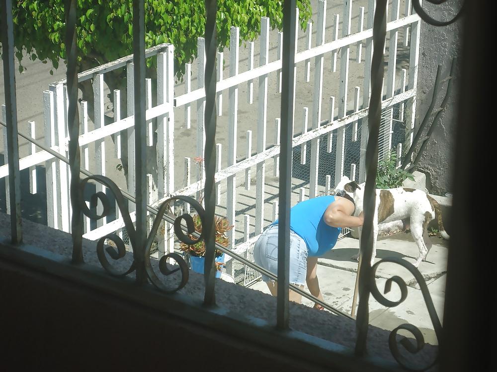 5P My neighbor 