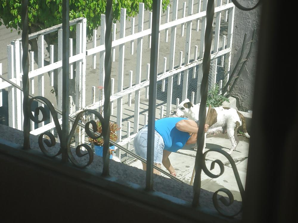 5P My neighbor 