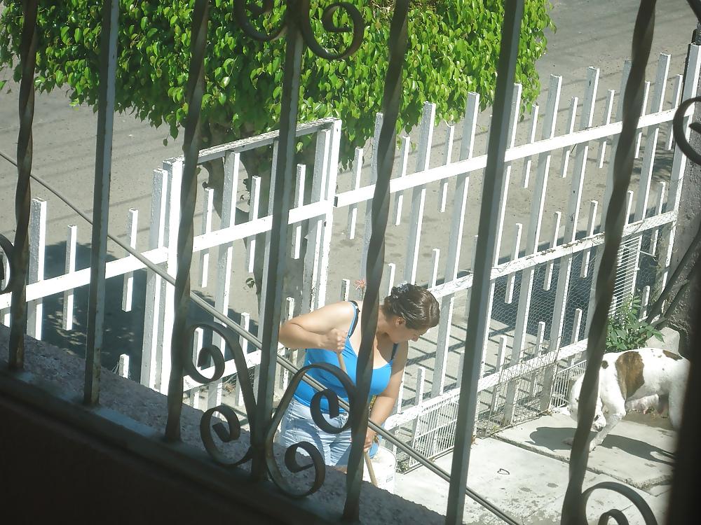 5P My neighbor 