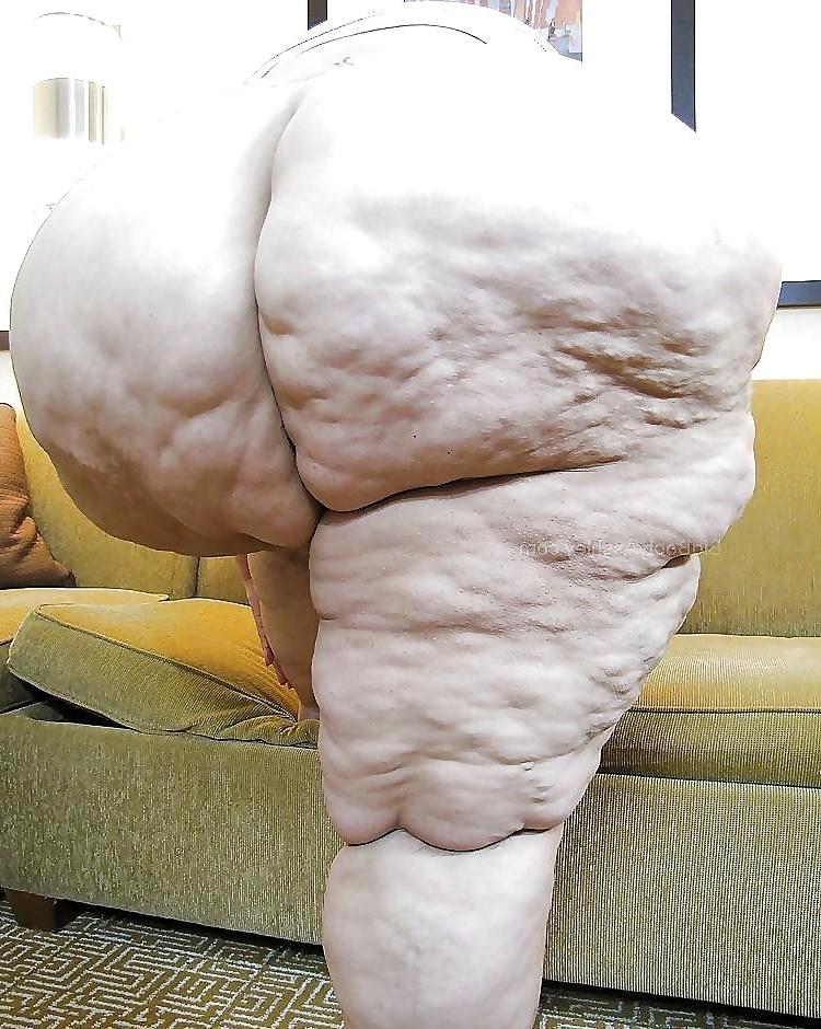 25P BBW & SSBBW Asses Collection #17