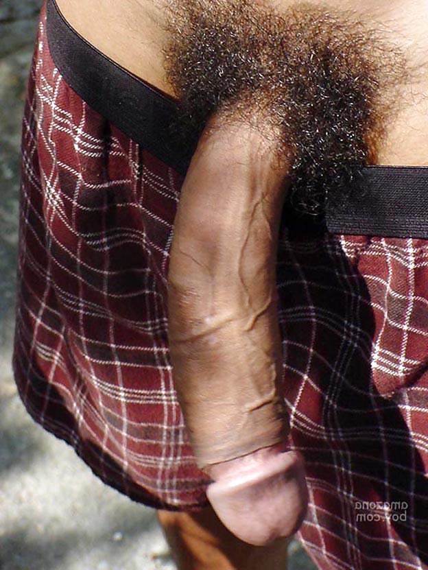 25P Sexy big black cocks 3