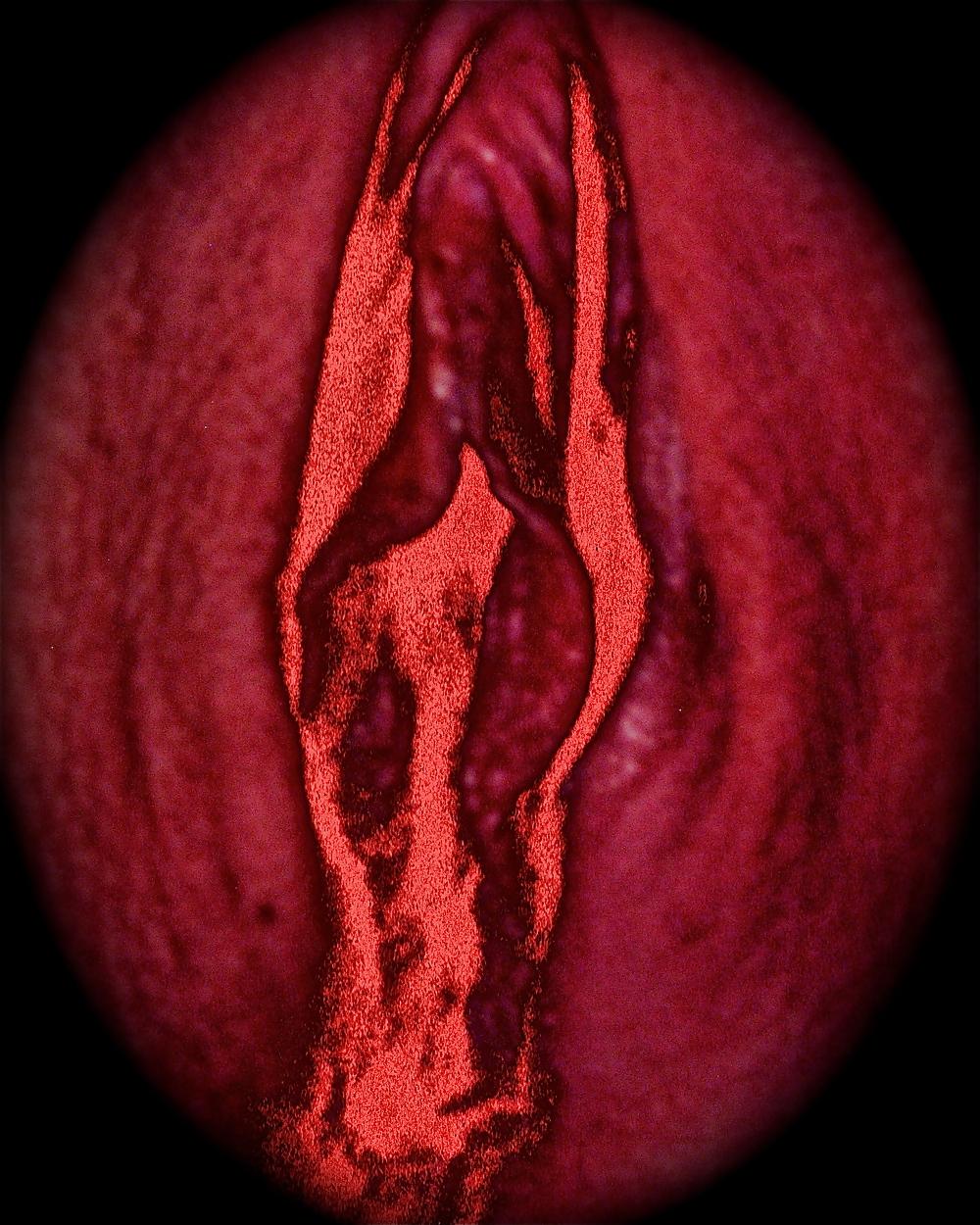 22P Labia love