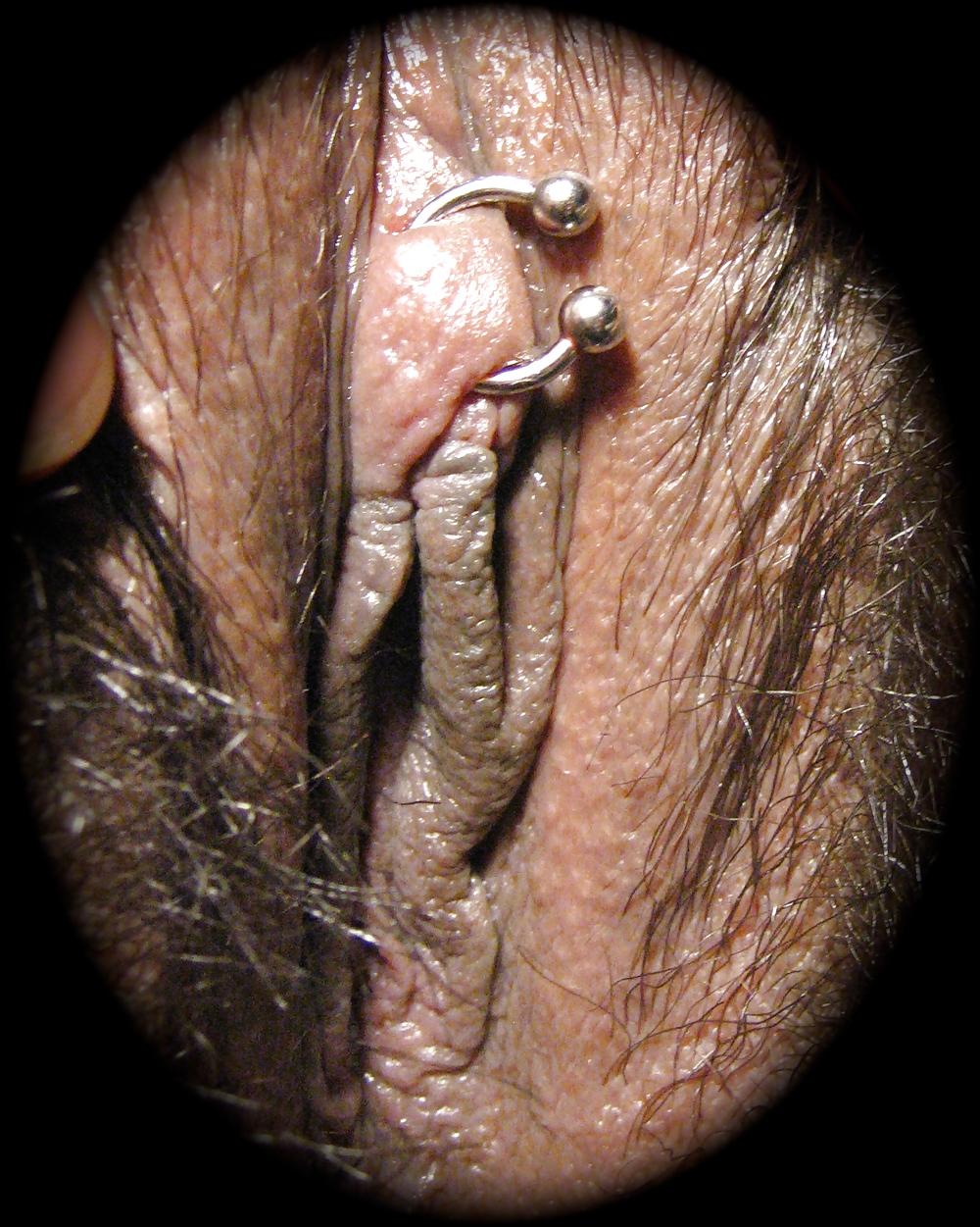 22P Labia love