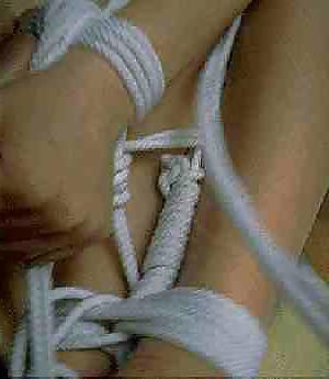 25P Asian BDSM 5