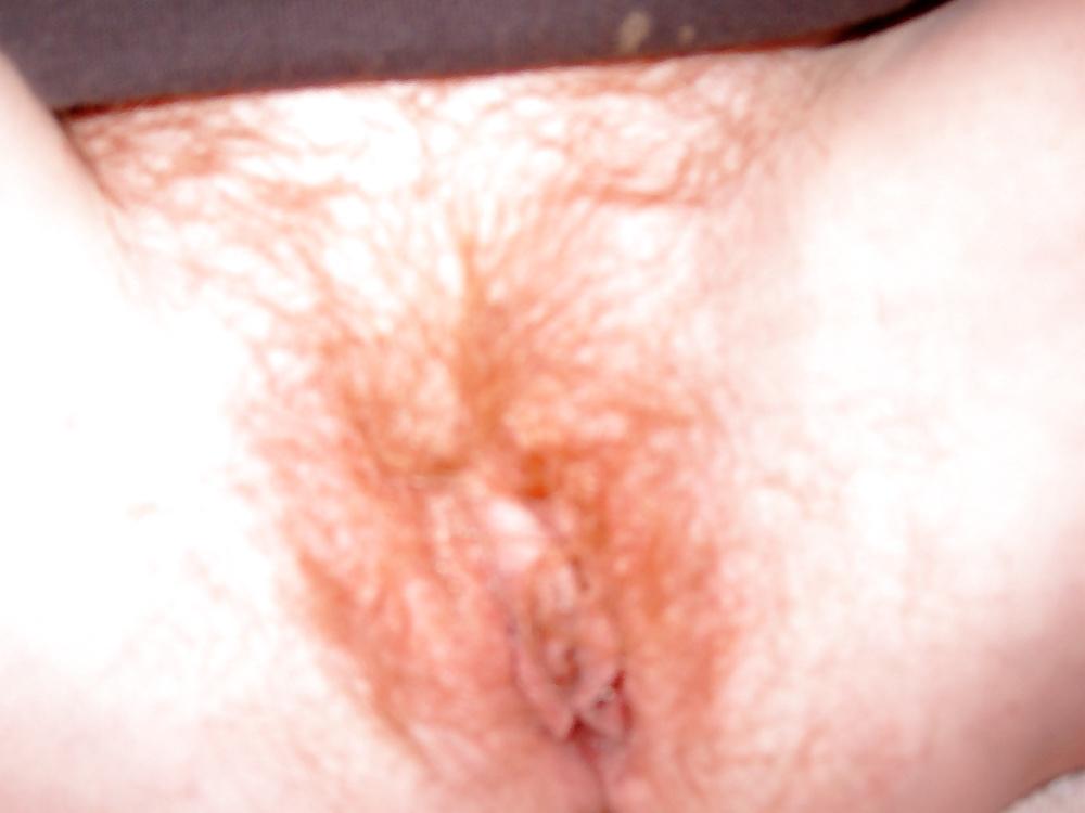 12P South Carolina Red Pussy