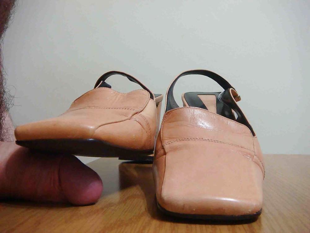 25P Mule Enzo Angiolini