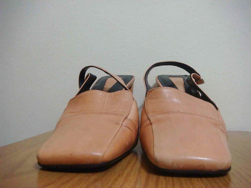 25P Mule Enzo Angiolini