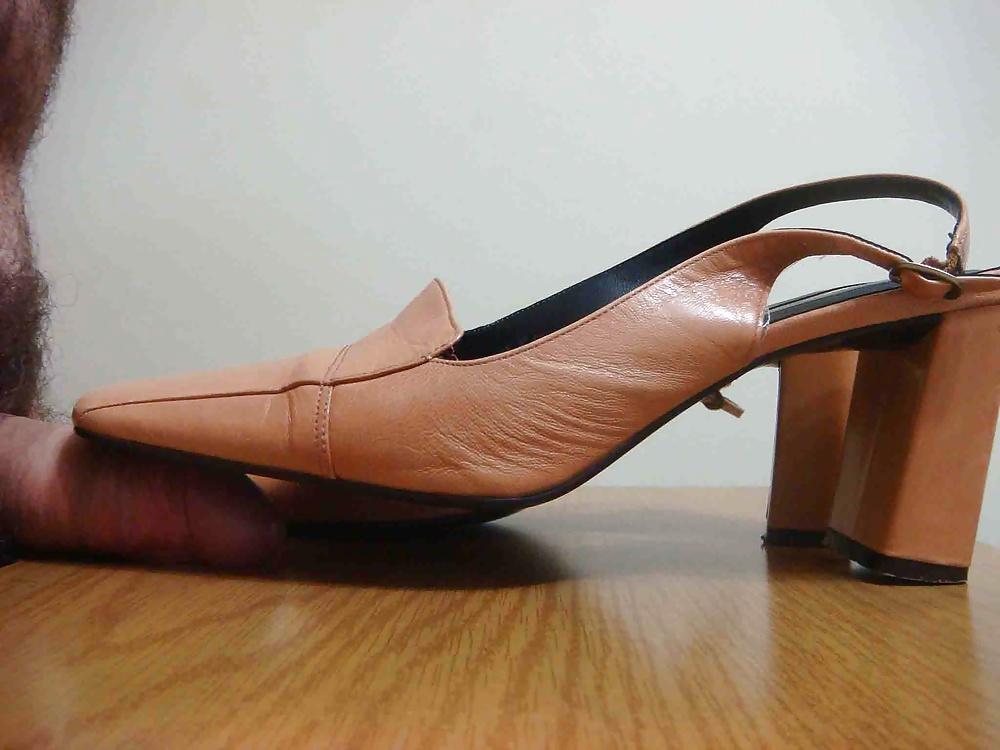 25P Mule Enzo Angiolini