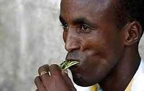 25P You can always trust a Black Guy