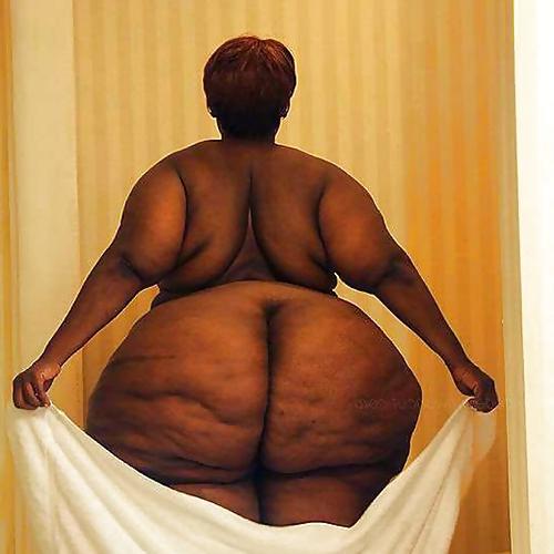 17P BBW BIG PHAT ASS BUTT BOOTY  VOL1