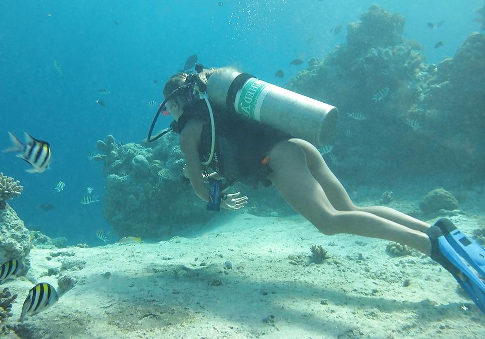 14P A 1562 (underwater)