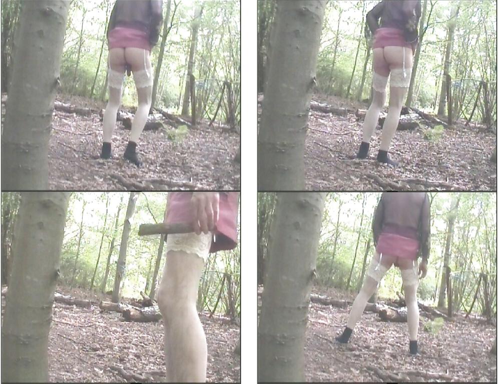 18P Public spanking in the wood