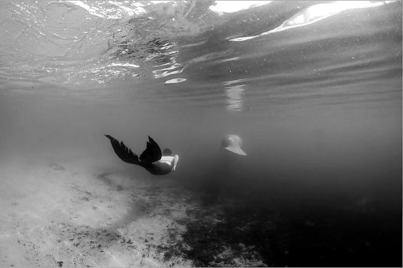 16P Underwater with the mermaids