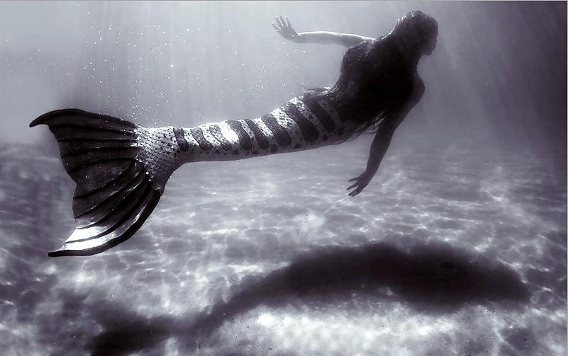 16P Underwater with the mermaids