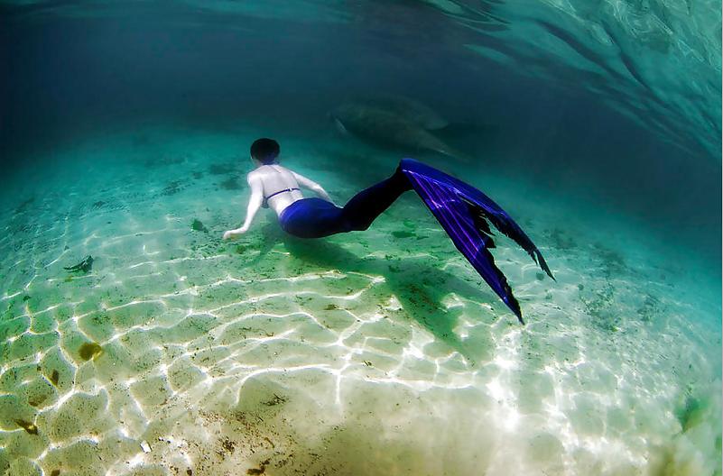 16P Underwater with the mermaids