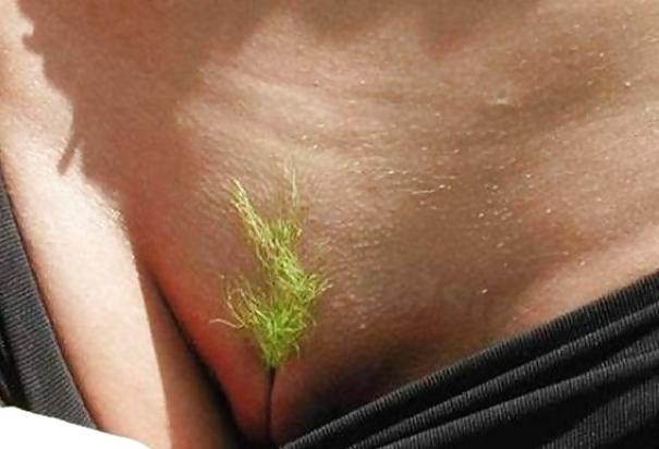 25P Dyed pubic  hair, kolorowe fryzurki