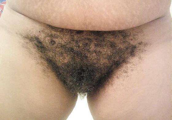 24P Black Hairy Pussy