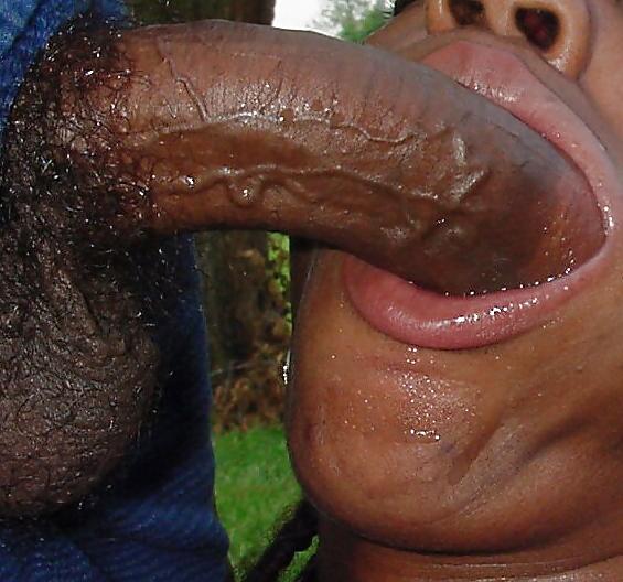 25P Classic Black N dicker