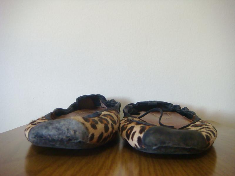 17P Sapatilha onca Stiletto