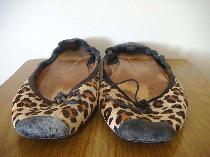 17P Sapatilha onca Stiletto