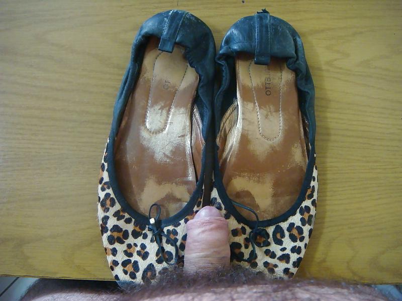 17P Sapatilha onca Stiletto
