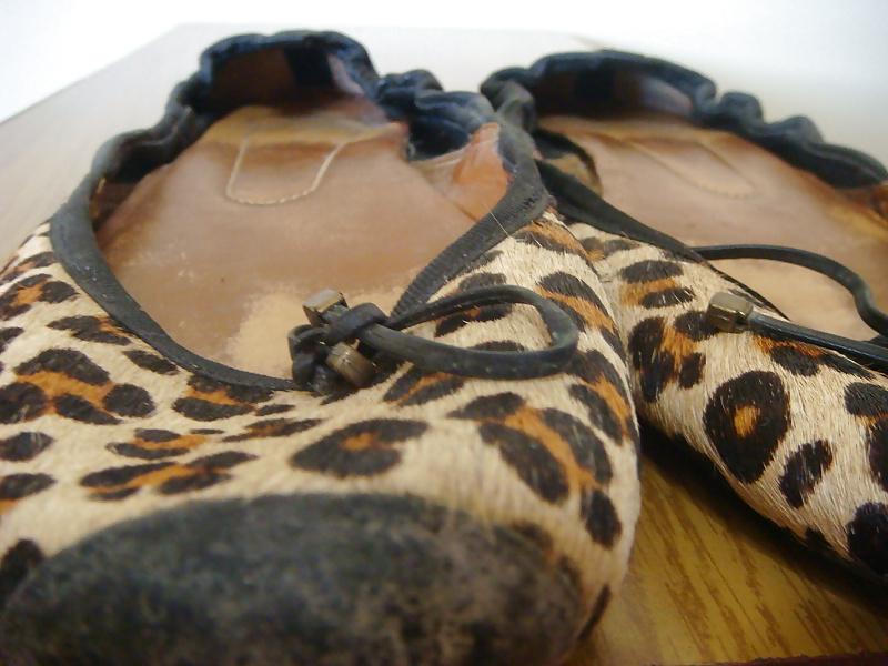 17P Sapatilha onca Stiletto