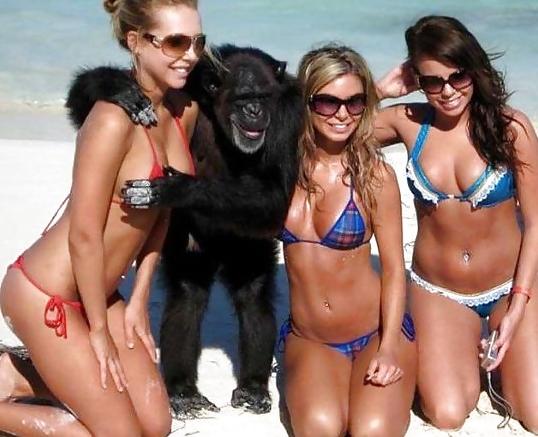 25P Girls in various underwear, swimsuits etc 18