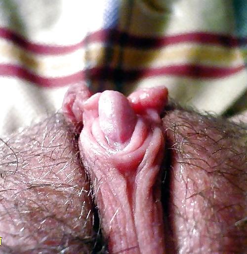 10P Big Clits And Labias: Highly Desirable Delicacy #69