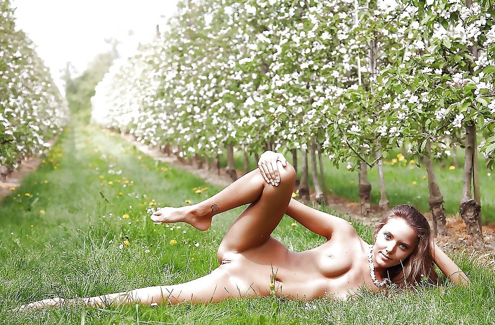 15P Nature