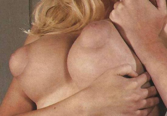 23P Nipples