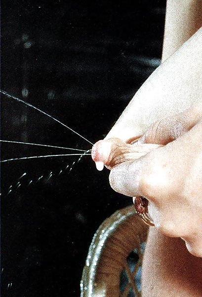 25P Lactating Tits
