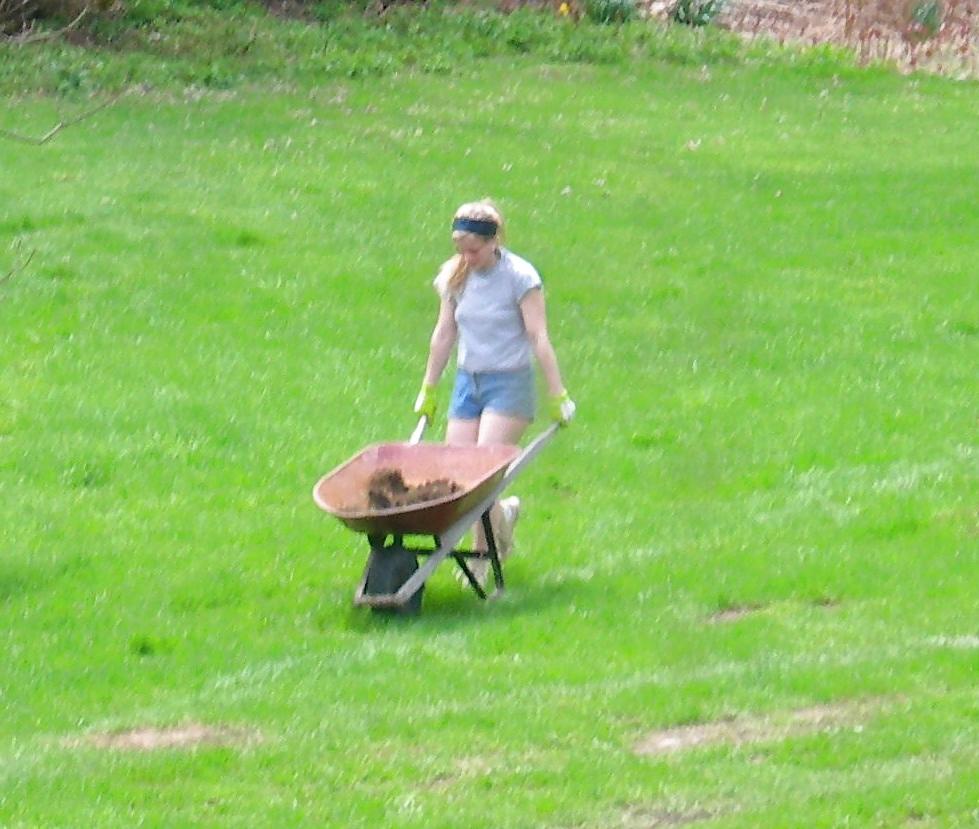 12P Hot 20yr old neighbor doing yard work.