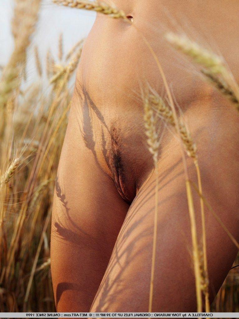 18P Pictures of Chantelle A naked outside