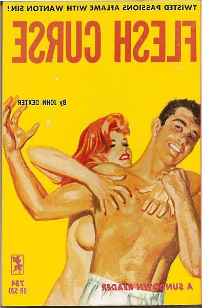 25P Retro sex story book covers
