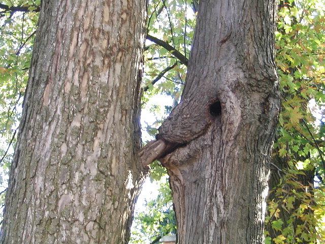 10P Sexual nature