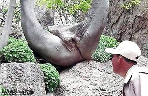 10P Sexual nature