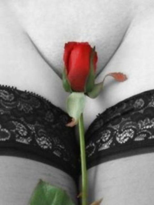 25P Mature BBW ladies 19