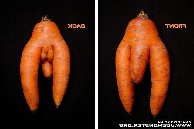 20P Nature with sex