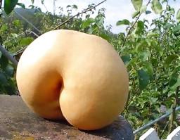20P Nature with sex