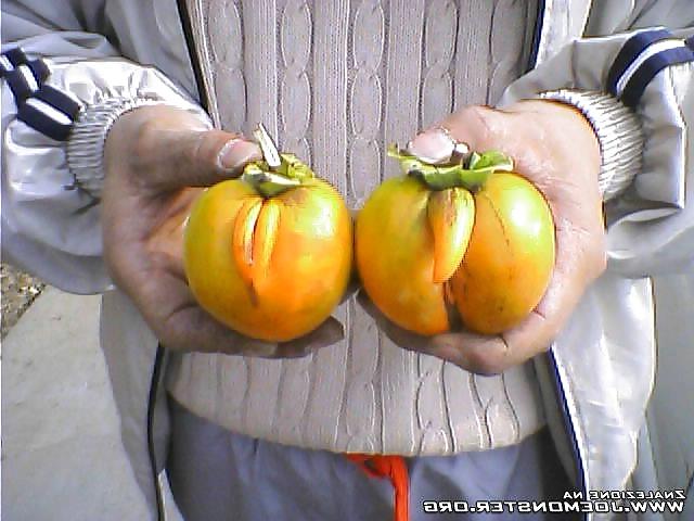 20P Nature with sex