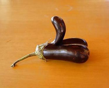20P Nature with sex