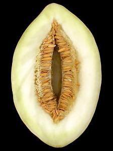 20P Nature with sex
