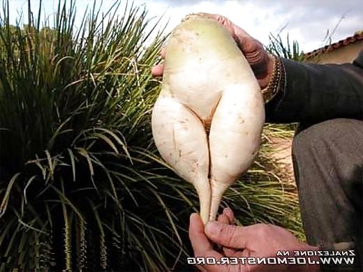 20P Nature with sex
