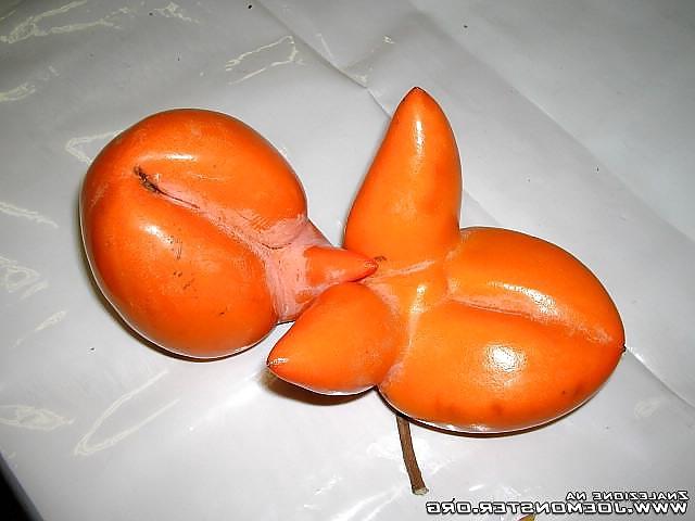 20P Nature with sex